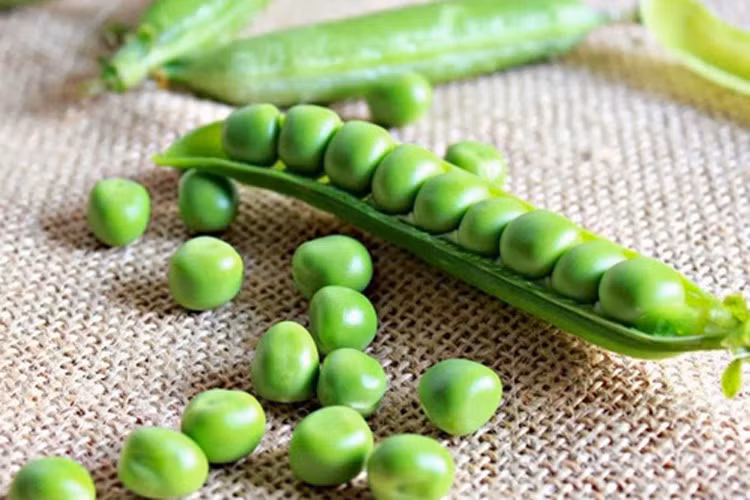 Hàm lượng protein phong phú trong đậu lăng có thể giúp tăng cường tính linh hoạt và giúp tóc khỏe mạnh. 