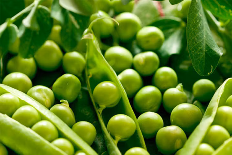 Hầu hết các loại đậu đều rất tốt cho mái tóc, nhưng tốt nhất phải kể đến đậu lăng. Thành phần chính của tóc là protein. 