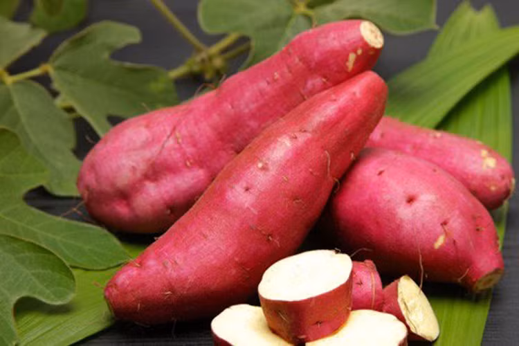 Thiếu vitamin A có thể dẫn đến khô da, ảnh hưởng đến da đầu, gây ra gàu. Khoai lang rất giàu beta-carotene có thể chuyển hóa thành vitamin A trong cơ thể người, được xem là mặt nạ bổ tóc từ thiên nhiên. 