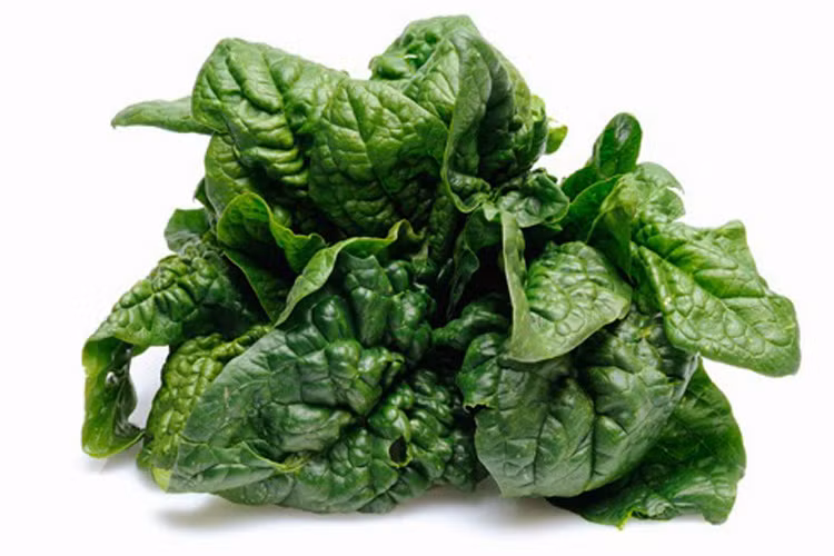 Thường xuyên ăn các loại rau lá xanh sẽ cung cấp đầy đủ dưỡng chất để tóc nhanh mọc và giúp tóc chắc khỏe hơn. 