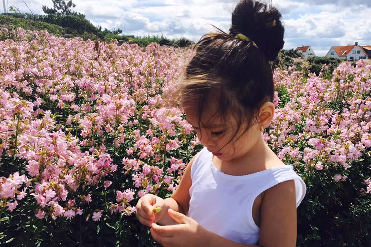 Hiện tại, bé Sol là một trong những nhóc tì nhà sao Việt được yêu mến trên mạng xã hội.