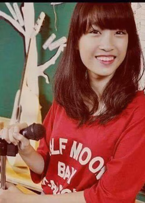 Tranh cai Do My Linh dang quang Hoa hau Viet Nam 2016-Hinh-3