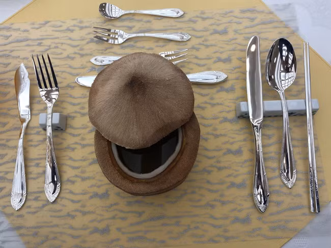 Tờ Guardian (Anh) bo biết Bộ Ngoại giao Triều Tiên thông báo quá trình đóng cửa bãi thử hạt nhân Punggye-ri bao gồm các bước phá nổ đường hầm, đóng mọi cửa ra vào, di dời tất cả các cơ sở quan sát, viện nghiên cứu và đơn vị bảo vệ tại đây.