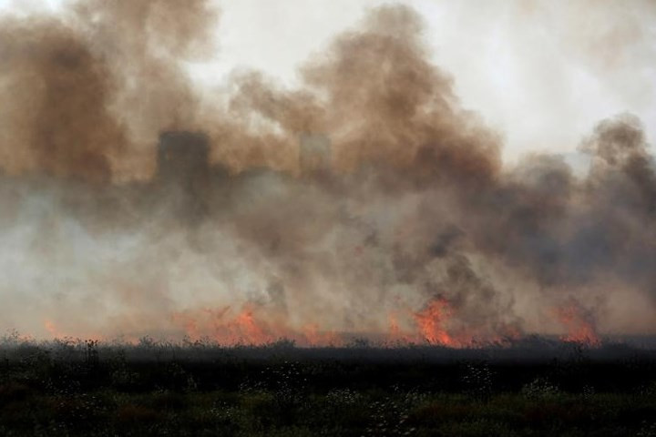 Một cánh đồng bên phần đất Israel bốc cháy sau khi bén lửa từ một con diều do người Palestine thả sang.