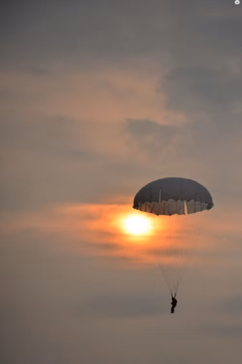 Những cánh hoa dù buổi bình minh...