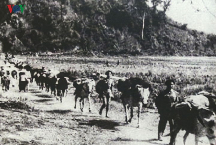 Nhờ đó tổng khối lượng vận chuyển trong chiến dịch Điện Biên Phủ đạt khoảng 4.450.000 tấn/km, gấp 36 lần khối lượng vận chuyển trong chiến dịch Biên Giới.