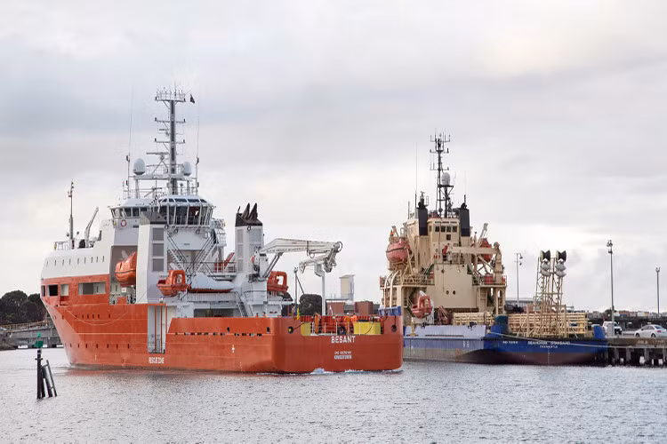 Các tàu Besant có lượng giãn nước từ 3.200-3.600 tấn, trong đó tàu MV Besant có chiều dài cơ sở 83m còn MV Stoker là 93m. Cả hai tàu này đều là các tàu cứu hộ tàu ngầm hiện đại nhất của Hải quân Australia. Trước Besant, tàu cứu hộ tàu ngầm lớn nhất của Hải quân Australia là tàu Seahorse Standard có lượng giãn nước chỉ hơn 2.000 tấn và có tầm hoạt động khá hạn chế. Nguồn ảnh: Navy Daily.