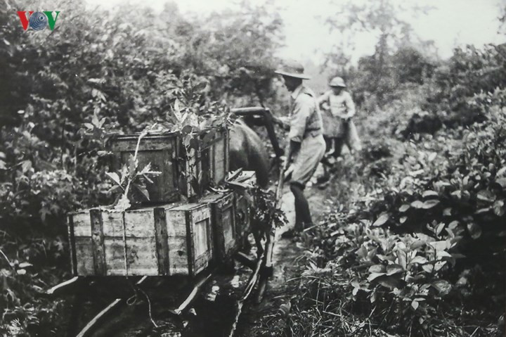 Ngoài xe đạp thồ chủ lực, lực lượng dân công còn dùng nhiều hình thức, phương tiện vận chuyển quân nhu khác như: bè mảng, ngựa thồ, xe cút kít, xe trâu, xe quệt, 1 đội vận tải ô tô 446 xe… Tổng khối lượng cung cấp cho chiến dịch là 30.759 tấn, trong đó tiêu thụ hết 19.989 tấn.