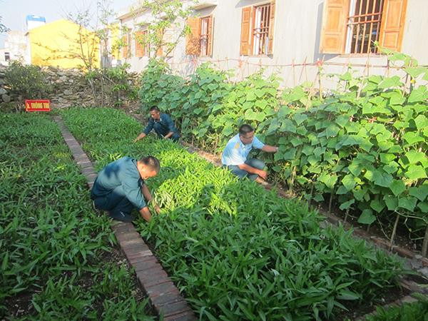 Tích cực tăng gia cải thiện đời sống.