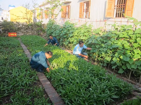 Tích cực tăng gia cải thiện đời sống.