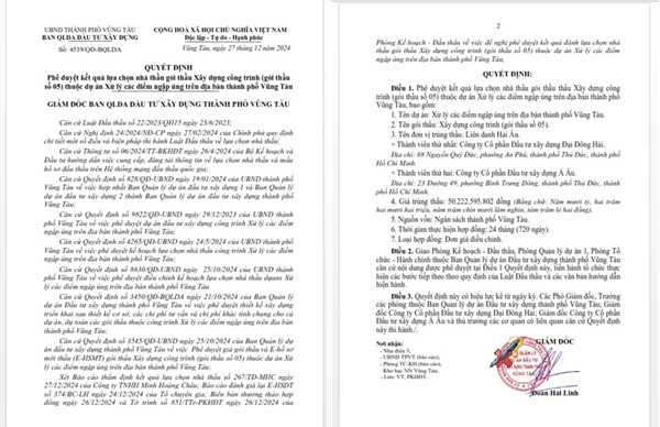 Can canh goi thau “xu ly cac diem ngap ung” tai Vung Tau-Hinh-2