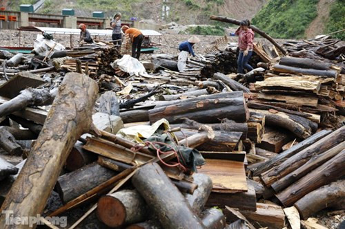 Rất nhiều người dân Điện Biên bất chấp nguy hiểm rủ nhau đi vớt gỗ, củi giữa hồ nước.