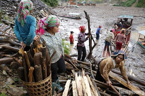 Giữa hồ nước đục ngầu hàng chục người dân vẫn tranh nhau vớt củi. Bất chấp tất cả nguy hiểm, miễn sao vớt được nhiều gỗ, củi.