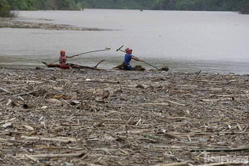 Thậm chí có người còn lội ra giữa bãi để vớt củi, gỗ... mà không trang bị bất cứ một vật dụng cứu sinh nào. 