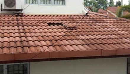 “Yeu rau xanh” do mai nha chui vao hiep dam gia chu