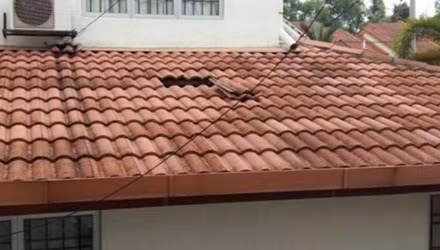 “Yeu rau xanh” do mai nha chui vao hiep dam gia chu