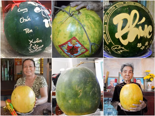 Thời gian gần đây, nhiều người vô cùng ngạc nhiên trước độ tươi lâu của dưa hấu, có những quả dưa hấu để cả năm không hỏng.