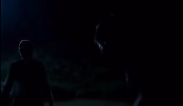 Hanh trinh pha an: Bi an xac co gai “loa the” bi chon vui duoi cat-Hinh-19