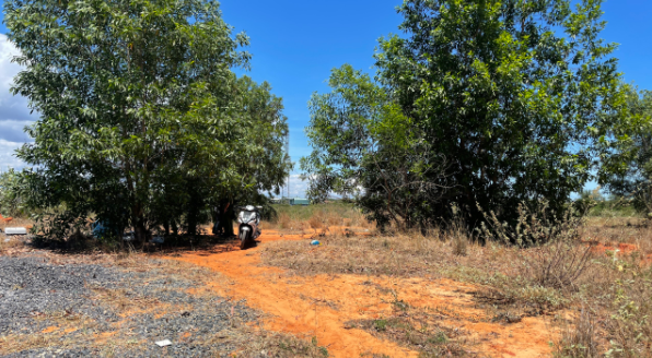  Phát hiện thi thể thầy giáo: Sáng 23/3, một người dân ngụ xã Hàm Thắng, huyện Hàm Thuận Bắc, Bình Thuận khi đi qua khu đất trống thì phát hiện xe máy tay ga cùng thi thể anh Huỳnh Thanh H. (SN 1973, ngụ huyện Hàm Thuận Bắc - là giáo viên tại một trường THPT ở huyện) thi thể nạn nhân nằm có 1 chai nhựa, 1 gói thuốc lá và áo khoác.