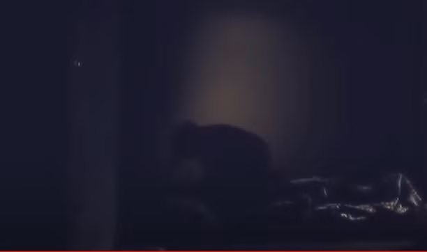 Tối ngày 30/11/2020, Chanh đã đến nhà bà Lan xin ở lại. Đến khoảng 1h sáng ngày 1/12/2020, thấy bà Lan đã ngủ say, Chanh đã dùng chày gỗ đánh nạn nhân cho đến chết.