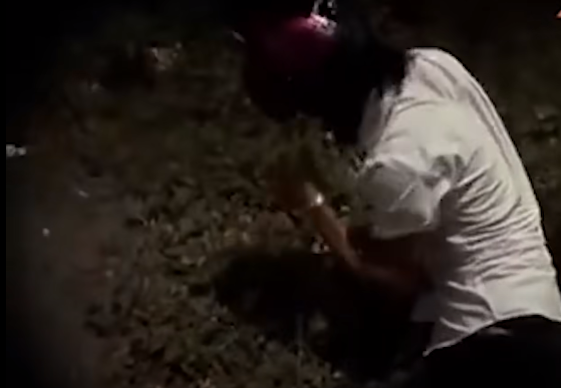 Khi đến ấp Đông Lợi (xã Đông Bình, huyện Thới Lai), nhóm này ép xe của ông Khanh vào lề đường. Luân nhảy xuống đánh ông ngất xỉu, lấy chìa khóa xe, điện thoại di động và bắt cháu Hân Duy đưa lên ô tô chạy về hướng huyện Cờ Đỏ. Còn Chi chở theo Gìn chạy theo sau và gọi điện hướng dẫn đường cho đồng bọn chạy về TP HCM và hẹn gặp nhau tại đường dẫn cầu Cần Thơ (phía bờ Vĩnh Long).