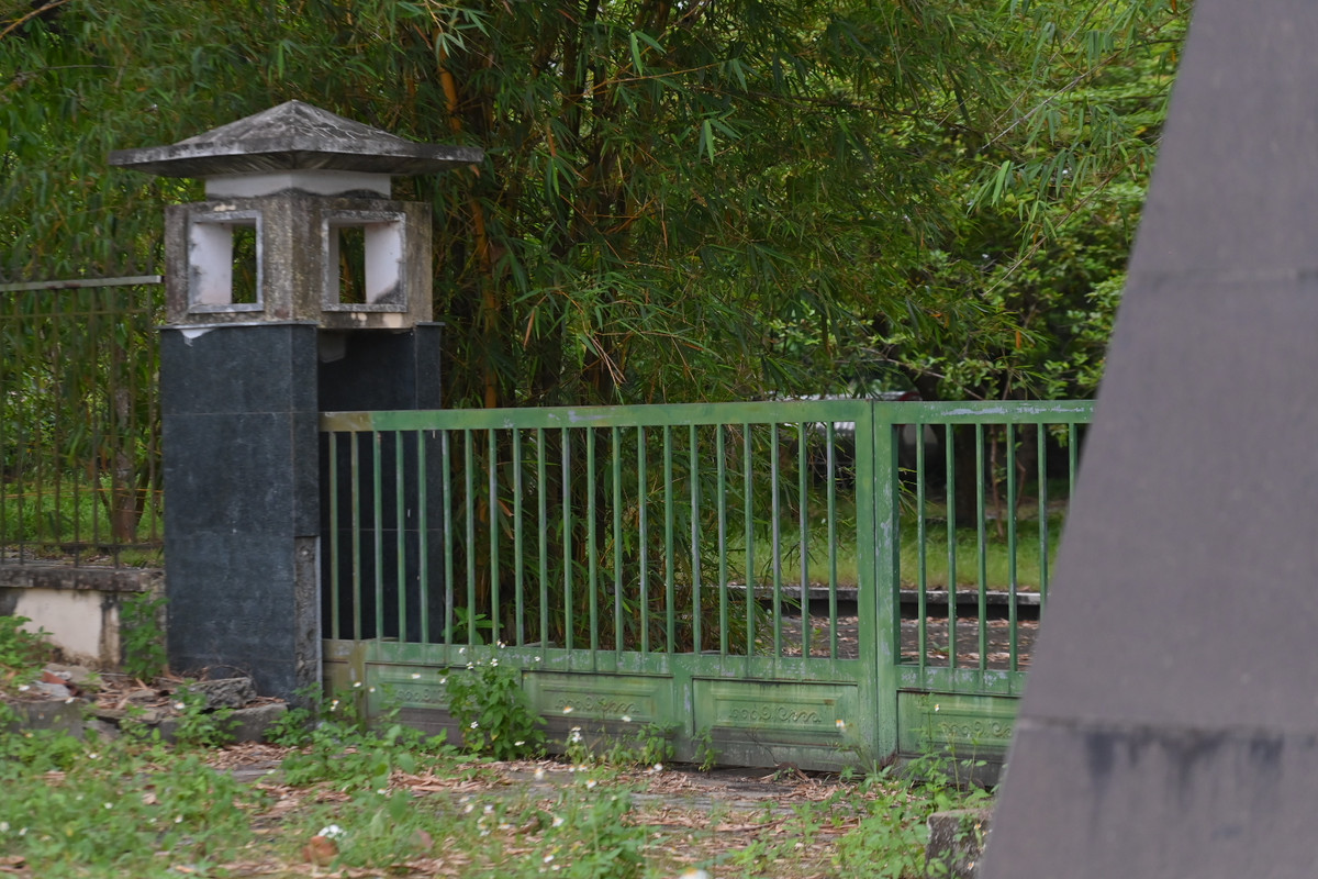 Cây cỏ dại cũng đã mọc ven lối đi.