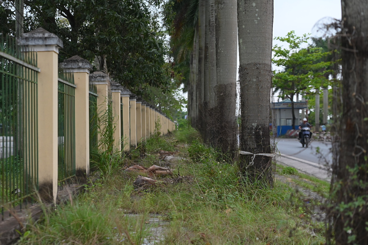 Trước yêu cầu quản lý trong tình hình mới, nhất là từ khi tuyến cao tốc Vân Đồn - Móng Cái đưa vào hoạt động, tỉnh Quảng Ninh đã đề xuất và được Chính phủ đồng ý cho giải thể, chấm dứt hoạt động của Trạm Kiểm soát liên hợp Km15 – Bến đò Dân Tiến.