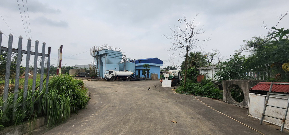 Thậm chí còn là nơi chăn nuôi thả gà.