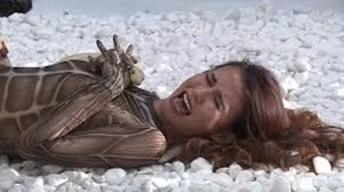 Tập thử thách chụp ảnh cùng rắn cũng chứng kiến các cô gái yếu đuối, nhìn thấy trăn, rắn đã sợ xanh mặt và la lối om sòm ngay khi lên sóng. Ảnh: Tienphong. Ảnh: Vietgiaitri.