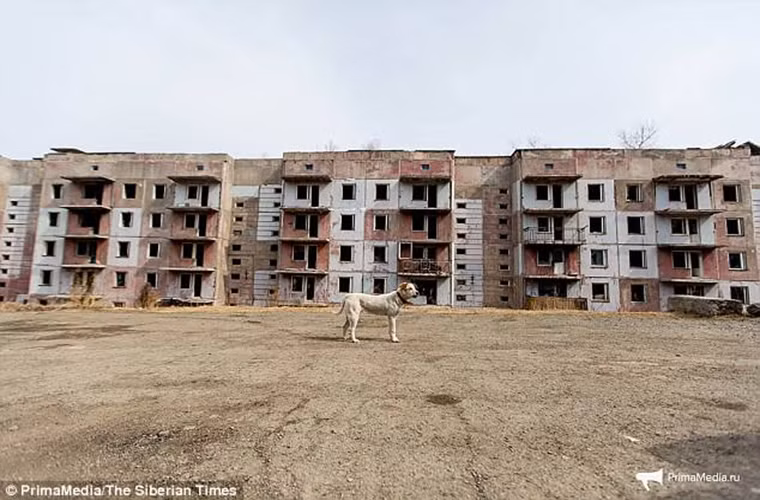 Tuy nhiên, căn cứ này bị đóng cửa vào năm 1992, sau đó các quân nhân và gia đình đã chuyển đến nơi khác ở nước Nga để sinh sống.