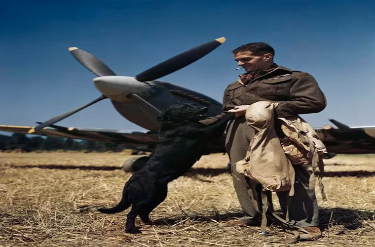 Phi công chiến đấu James “Johnnie” Johnson của Hoàng gia Anh đứng cạnh tiêm kích Spitfire và chú chó Labrador Sally ở Normandy hồi tháng 7/1944 trong thời kỳ Chiến tranh Thế giới thứ hai. (Nguồn ảnh: The Sun)