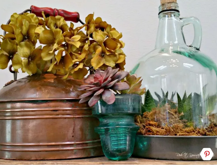 Bạn có biết, bạn có thể trồng cây ở trong chiếc bình rượu cũ.