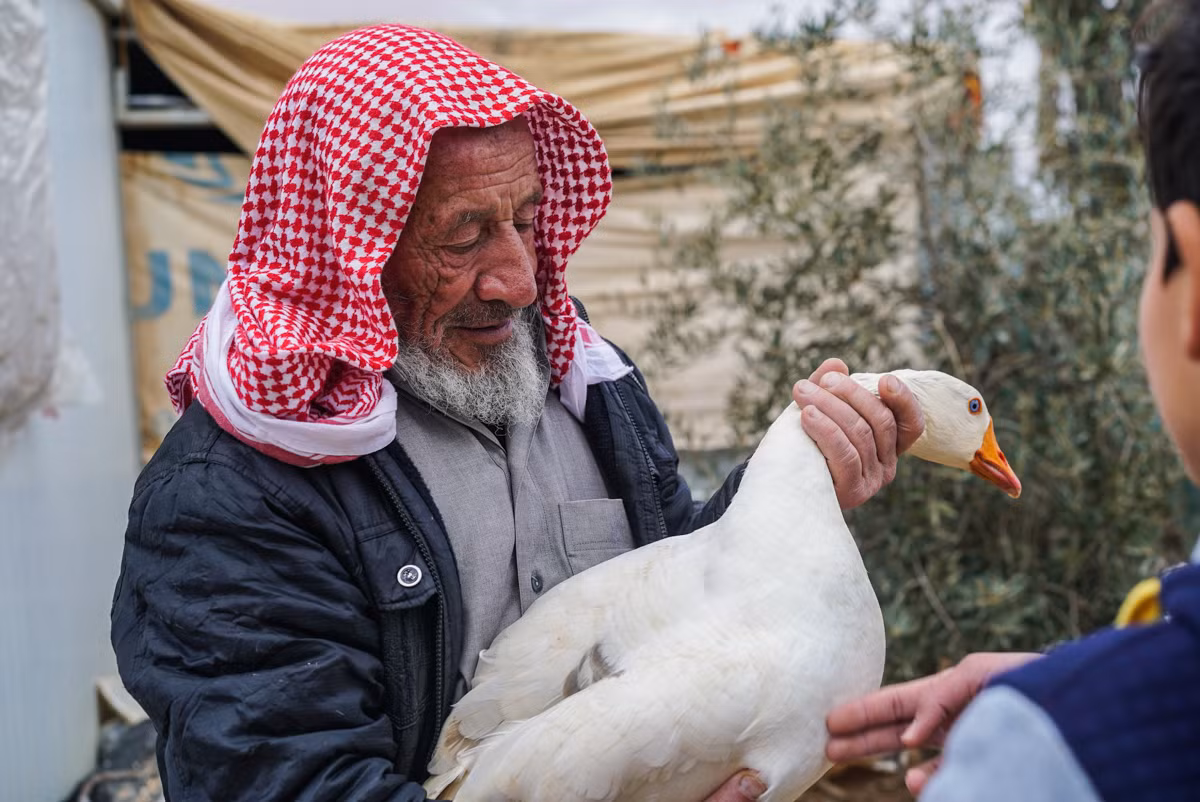 Abu Talal sống cùng vợ và con cháu tại khu trại Zaatari. Trong ngôi nhà của mình, ông Abu trồng rau, nuôi bồ câu và ngỗng,…