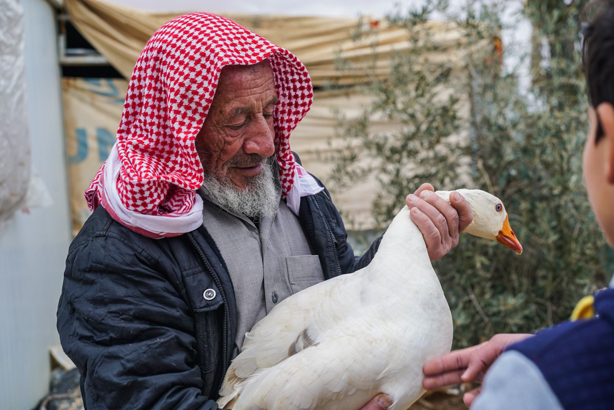Abu Talal sống cùng vợ và con cháu tại khu trại Zaatari. Trong ngôi nhà của mình, ông Abu trồng rau, nuôi bồ câu và ngỗng,…