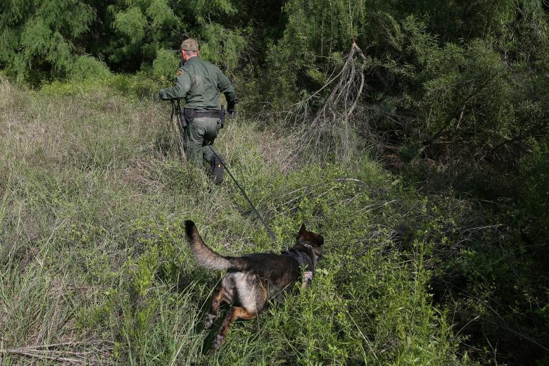 Nhân viên tuần tra Mỹ dẫn theo chó nghiệp vụ truy tìm những người vượt biên trái phép.