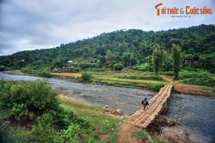 Cầu tre bắc qua suối ở Mường Phăng.