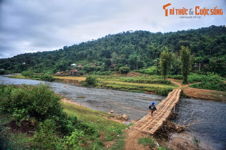 Cầu tre bắc qua suối ở Mường Phăng.