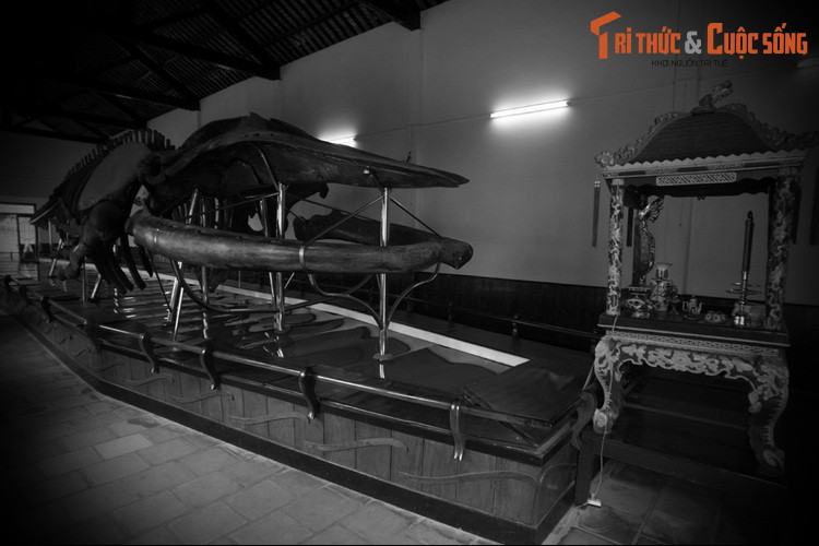 Theo Đại Nam nhất thống chí, cá voi được gọi là Đức Ngư: “Đức Ngư đầu tròn, nơi trán có lỗ phun nước ra, sắc đen trơn láng, không có vảy, đuôi có mảng như đuôi tôm, cá tánh từ thiện, hay giải cứu cho người khi qua biển mắc cạn. Ảnh: Bộ xương cá voi lớn nhất Việt Nam được thờ ở dinh Vạn Thủy Tú, TP Phan Thiết.