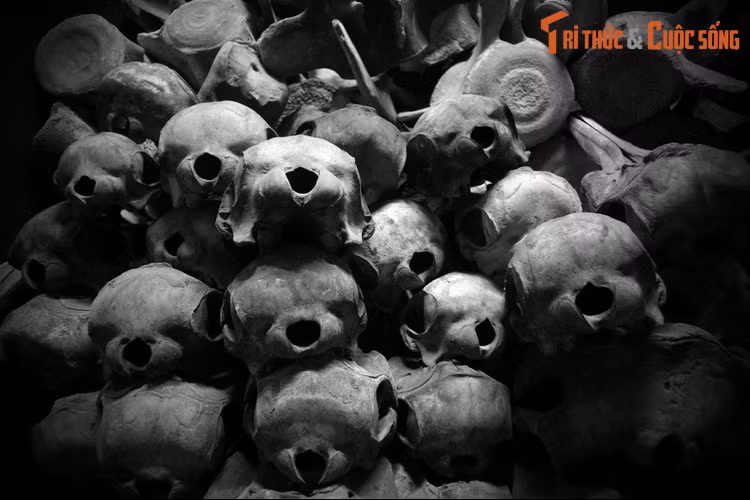 Về tục thờ cúng Cá Ông, tương truyền được biết đến từ thời Nguyễn sau khi cá Ông cứu mạng cho Vua Gia long Nguyễn Ánh trong quá trình chạy trốn quân Tây Sơn. Khi thắng trận, Vua Gia Long đã phong tặng Cá Ông là Nam Hải Đại tướng quân và cho lập lăng miếu thờ cúng, sắc phong. Ảnh: Những hộp sọ cá voi ở dinh Vạn Thủy Tú.