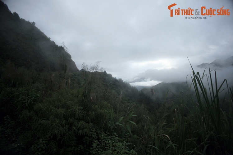 Trước khi được trải nhựa, đèo Ô Quy Hồ là tuyền đường ít người dám qua lại vì quá khó đi, lại mang theo nhiều câu chuyện truyền miệng đáng sợ, trong đó có chuyện về những con hổ thần rình bắt người qua lại.