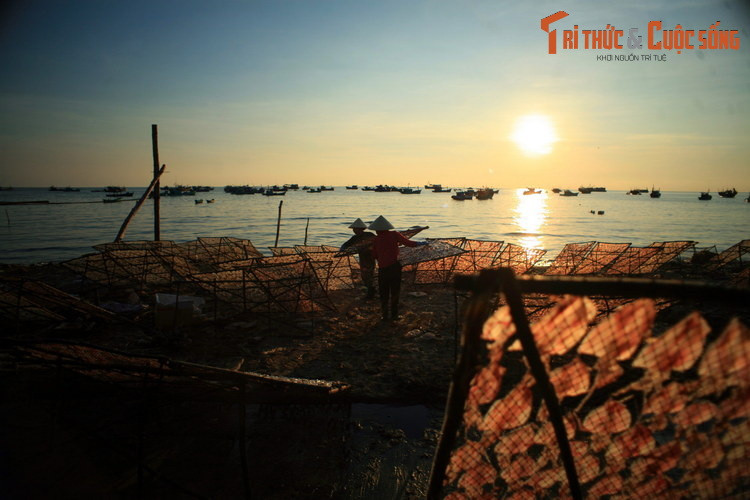 Những người ngư dân phơi mực trong ráng chiều gần chợ cá làng chài An Thới ở Phú Quốc.