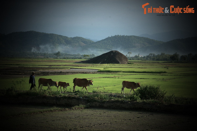 Cách đá Voi Mẹ khoảng 5 km về phía Nam là đá Voi Cha, cũng là một tảng đá nguyên khối có kích cỡ rất lớn, với chiều dài khoảng 70 mét, chu vi 180 mét. Phía sau cặp đá Voi Mẹ - Voi Cha này là một truyền thuyết kỳ bí được lưu truyền trong vùng qua nhiều đời.