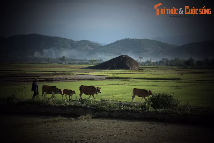 Cách đá Voi Mẹ khoảng 5 km về phía Nam là đá Voi Cha, cũng là một tảng đá nguyên khối có kích cỡ rất lớn, với chiều dài khoảng 70 mét, chu vi 180 mét. Phía sau cặp đá Voi Mẹ - Voi Cha này là một truyền thuyết kỳ bí được lưu truyền trong vùng qua nhiều đời.
