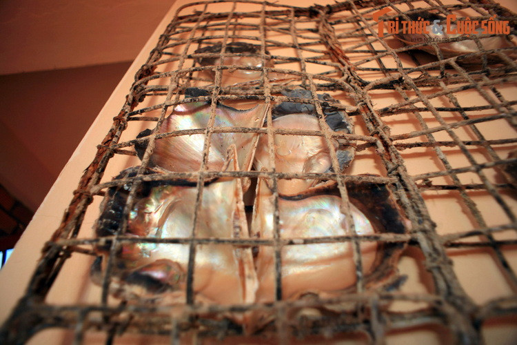  3. Tìm hiểu nghề nuôi trai lấy ngọc. Có điều kiện tự nhiên rất thích hợp cho việc phát triển nghề nuôi trai lấy ngọc, đảo Phú Quốc là vựa ngọc trai lớn bậc nhất Việt Nam. Nhiều cơ sở cuôi cấy ngọc trai ở Phú Quốc có các hoạt động trải nghiệm dành cho du khách.