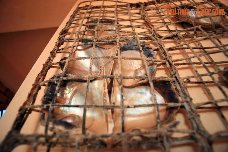  3. Tìm hiểu nghề nuôi trai lấy ngọc. Có điều kiện tự nhiên rất thích hợp cho việc phát triển nghề nuôi trai lấy ngọc, đảo Phú Quốc là vựa ngọc trai lớn bậc nhất Việt Nam. Nhiều cơ sở cuôi cấy ngọc trai ở Phú Quốc có các hoạt động trải nghiệm dành cho du khách.