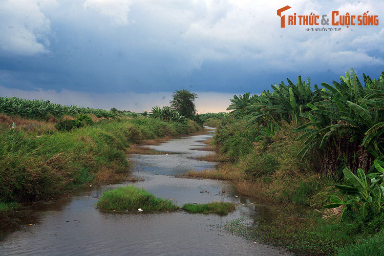 Một góc Vườn quốc gia U Minh Thượng ở huyện U Minh Thượng. Đây là kiểu rừng úng phèn rất đặc thù, được xếp vào diện độc đáo và quý hiếm trên thế giới.