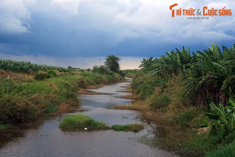 Một góc Vườn quốc gia U Minh Thượng ở huyện U Minh Thượng. Đây là kiểu rừng úng phèn rất đặc thù, được xếp vào diện độc đáo và quý hiếm trên thế giới.