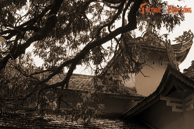 Sau khi lên ngôi, vua Gia Long yêu cầu thầy chùa Đá Trắng cúng tiến thứ quả đặc sản này vào dịp Tết Đoan ngọ. Do thấy xoài quý hiếm nên quan huyện phải cử lính canh giữ. Những người làm nhiệm vụ này được miễn thuế thân.