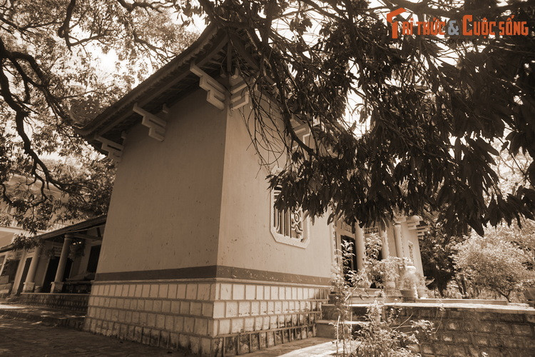 Cũng nhờ những quả xoài sót lại ấy mà giống xoài này được nhân rộng khắp vùng xung quanh cũng như nhiều nơi khác. Có điều, xoài trồng ở các nơi đó đều không thơm ngon bằng xoài ở chùa Đá Trắng.