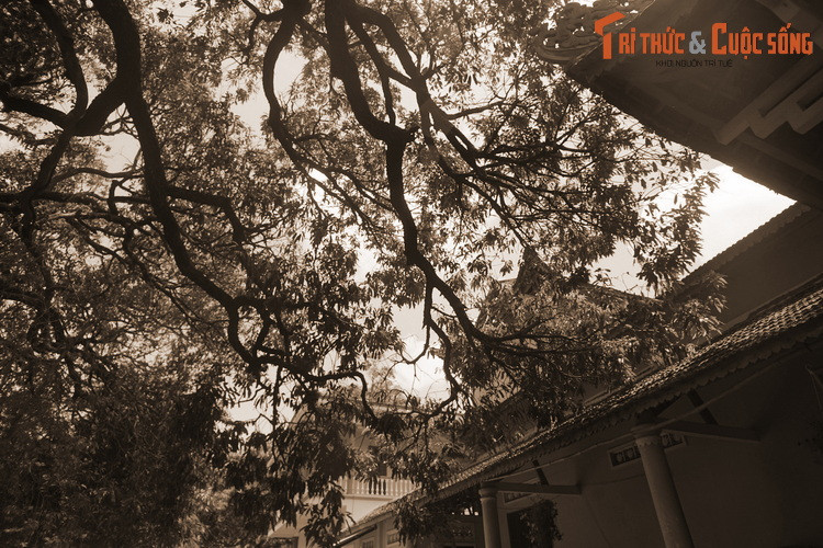 Nằm ở thôn Cần Lương, xã An Dân, huyện Tuy An, chùa Từ Quang hay chùa Đá Trắng là ngôi chùa cổ nổi tiếng bậc nhất tỉnh Phú Yên. Trong khuôn viên chùa có một vườn xoài cổ thụ cho quả ngon đến mức vang danh sử sách.